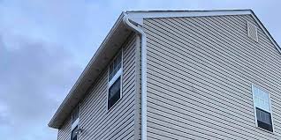 Best Siding Painting and Refinishing  in Forest Heights, TX